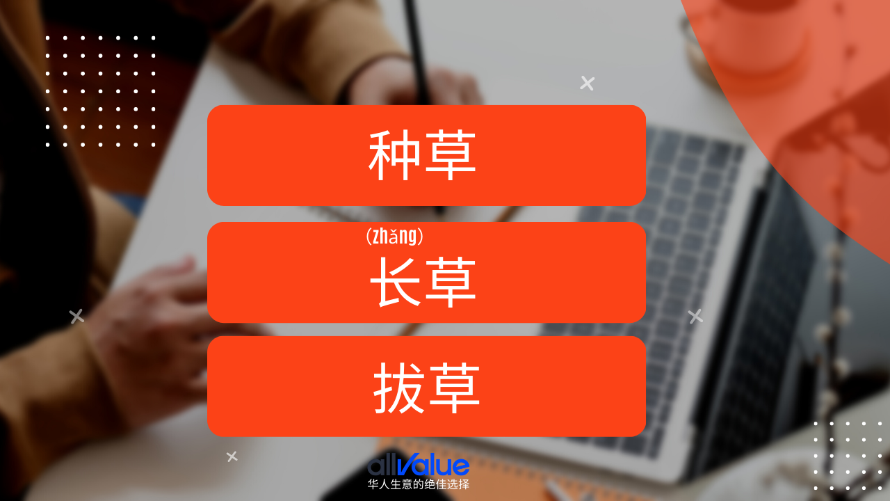 內(nèi)容與商業(yè)相遇：小紅書，2023海外華人商家一定要抓住的商業(yè)風(fēng)向